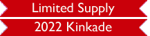 Limited Supply 2022 Kinkade
